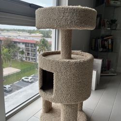 Cat Playground