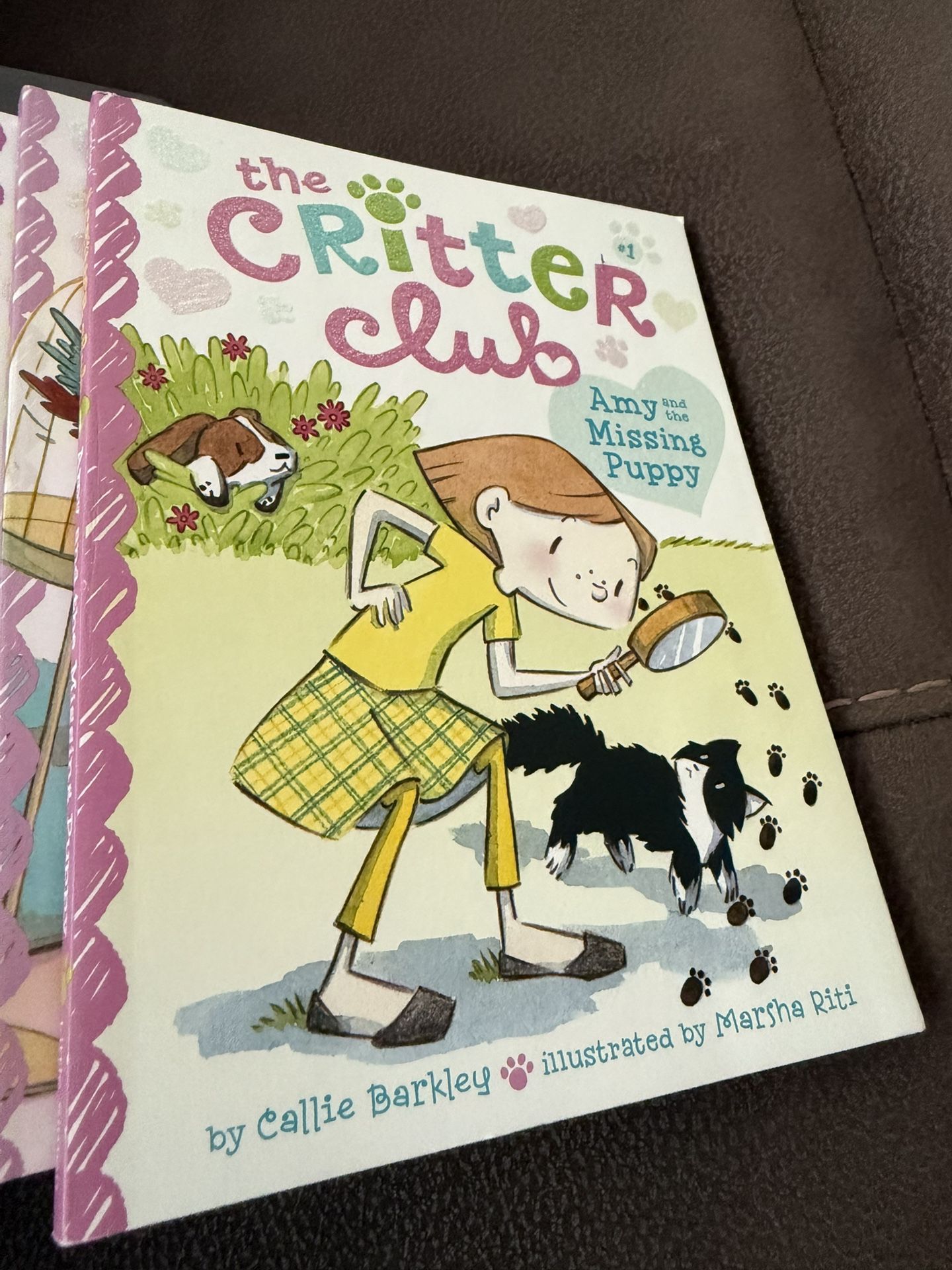 The Critter Club Ten-Book Collection