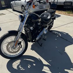 2020 Harley Davidson softail standard