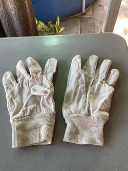 Cotton gloves.