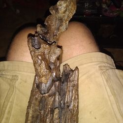 Driftwood Sculpture Piece
