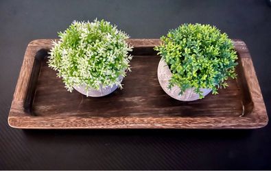 Wooden Tray w/ Decorative Plants