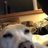 Ben