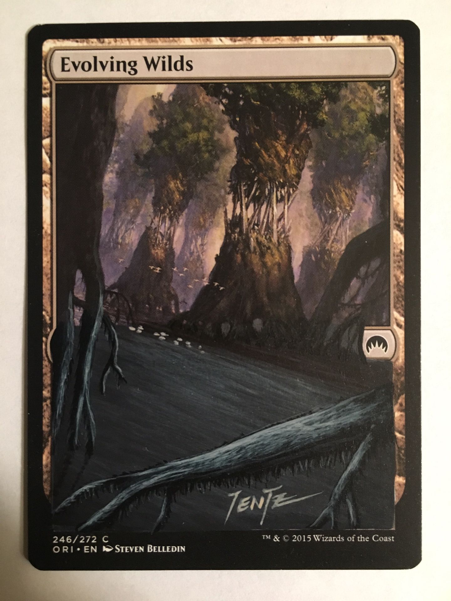 Magic The Gathering Evolving Wild Land Altered Full Art MTG Card