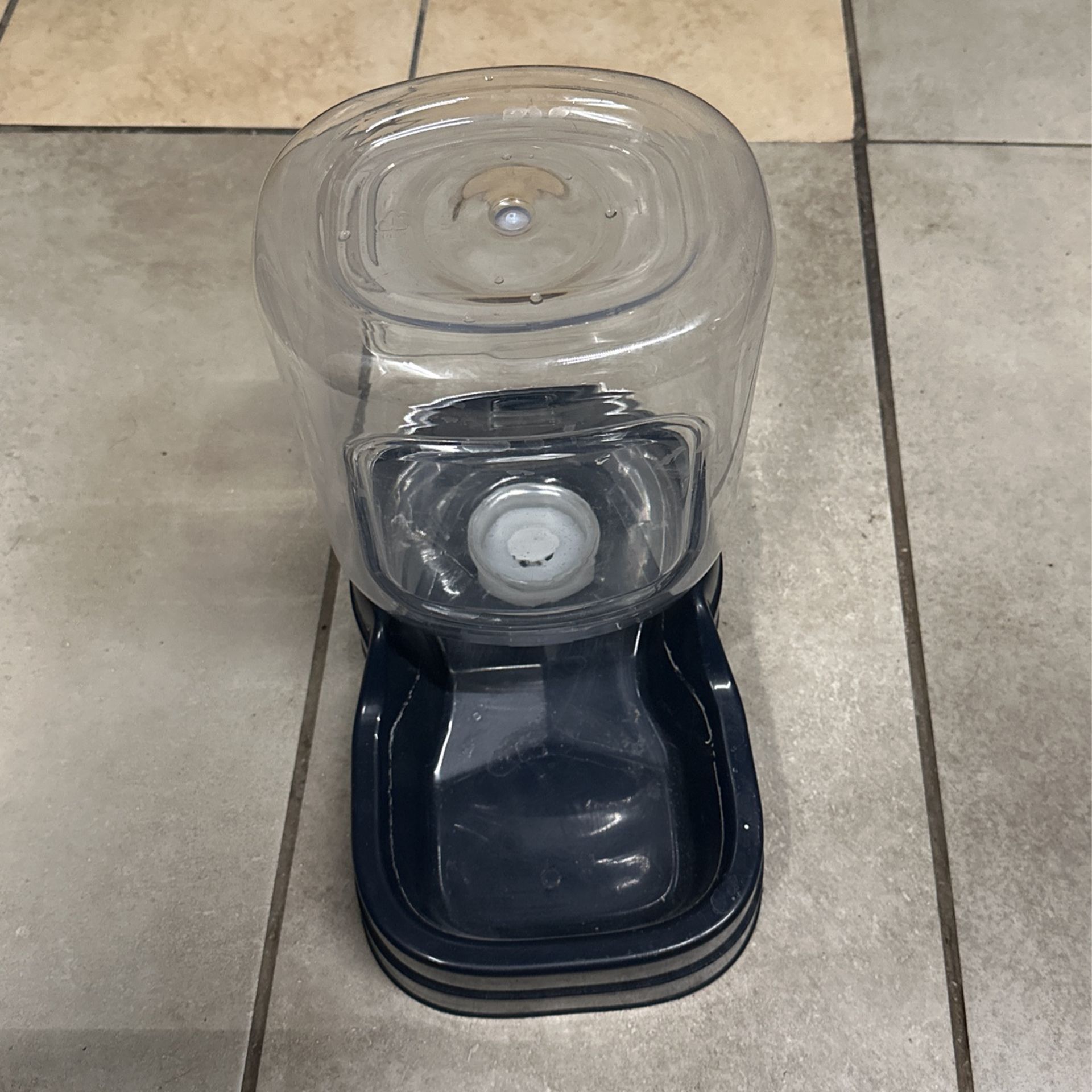 Dog Water Bowl