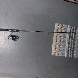 Baitcaster & Spinning Reel