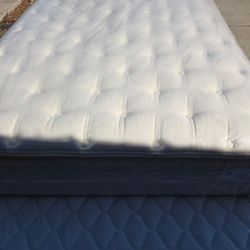 COLCHON QUEEN SPRING BACK  SUPPORT 