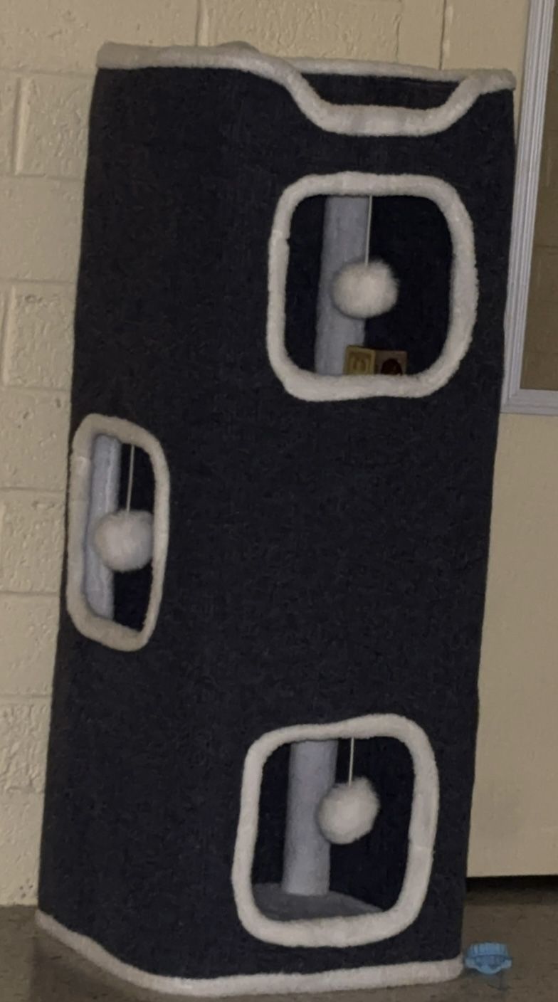 Cat House