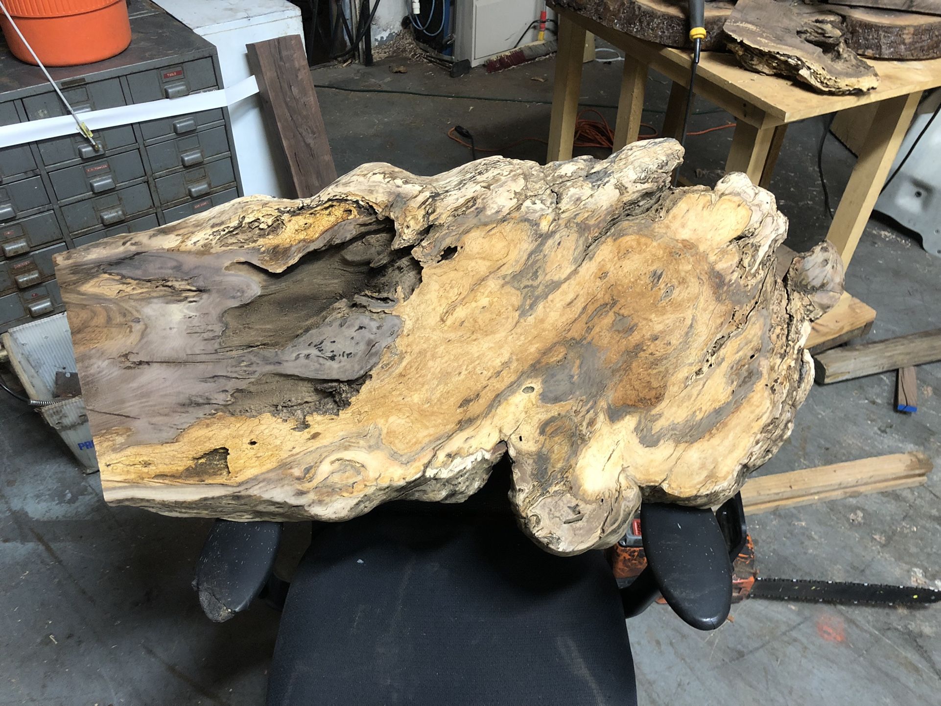 Black Walnut Burl Slabs