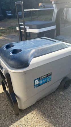 Cooler 38L
