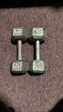 Hex 20lbs Dumbbells
