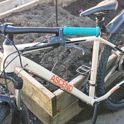 29" Ascend Zion Hard tail