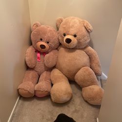 Extra Large Teddy Bears