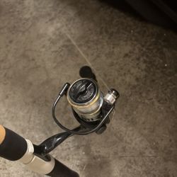 Fishing Rod And Reel Need Gone