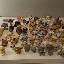 Littlest pet shop lot