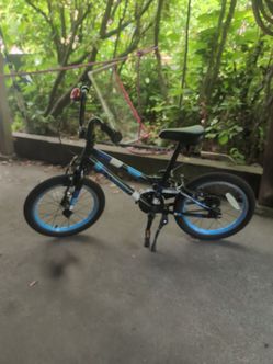 Guardian Bike 16