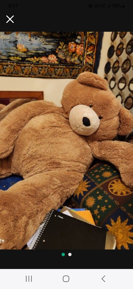 Oso Extra Grande