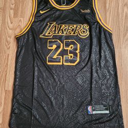 LeBron James XL Black And Yellow Jersey