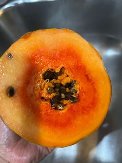 Sprouted papaya seeds