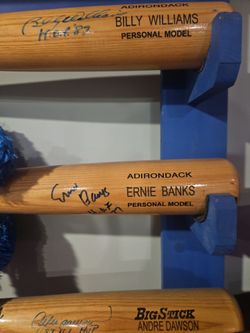 Mr cub