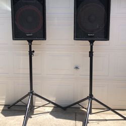 Pasive speakers with stands and cables