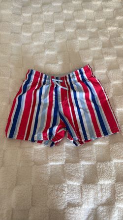 toddler boys 2T cat and Jack swim trunks