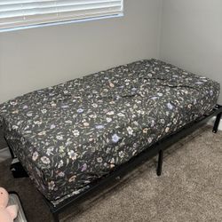 Twin Mattress & Frame
