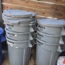 Brute Trashcans