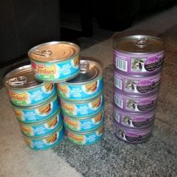 Daves Cat Food & Friskies Pate