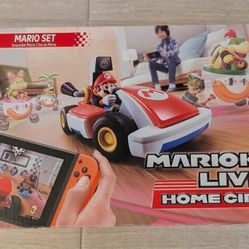Mario Kart Live: Home Circuit (2 Karts) – $120


