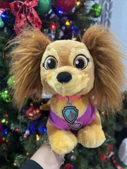 Skyy From Paw Patrol