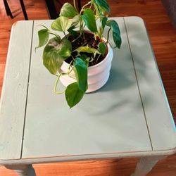 Very Good Condition Table