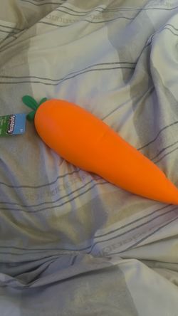 New carrot squishy