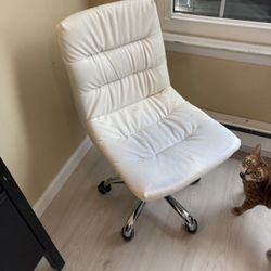 Vanity /desk Chair