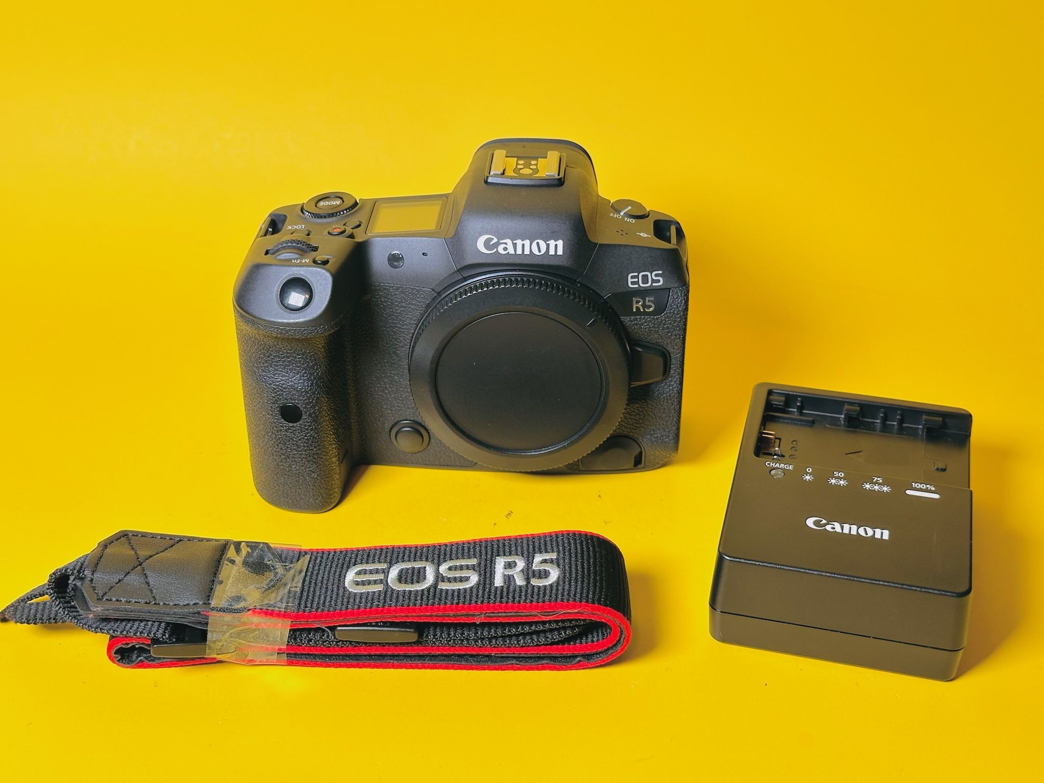 Canon EOS R5 Mirrorless Camera (Body Only)