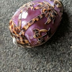 Seashell From Hawaii 