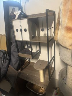 Cat House