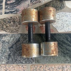 2x 25lb Weights 