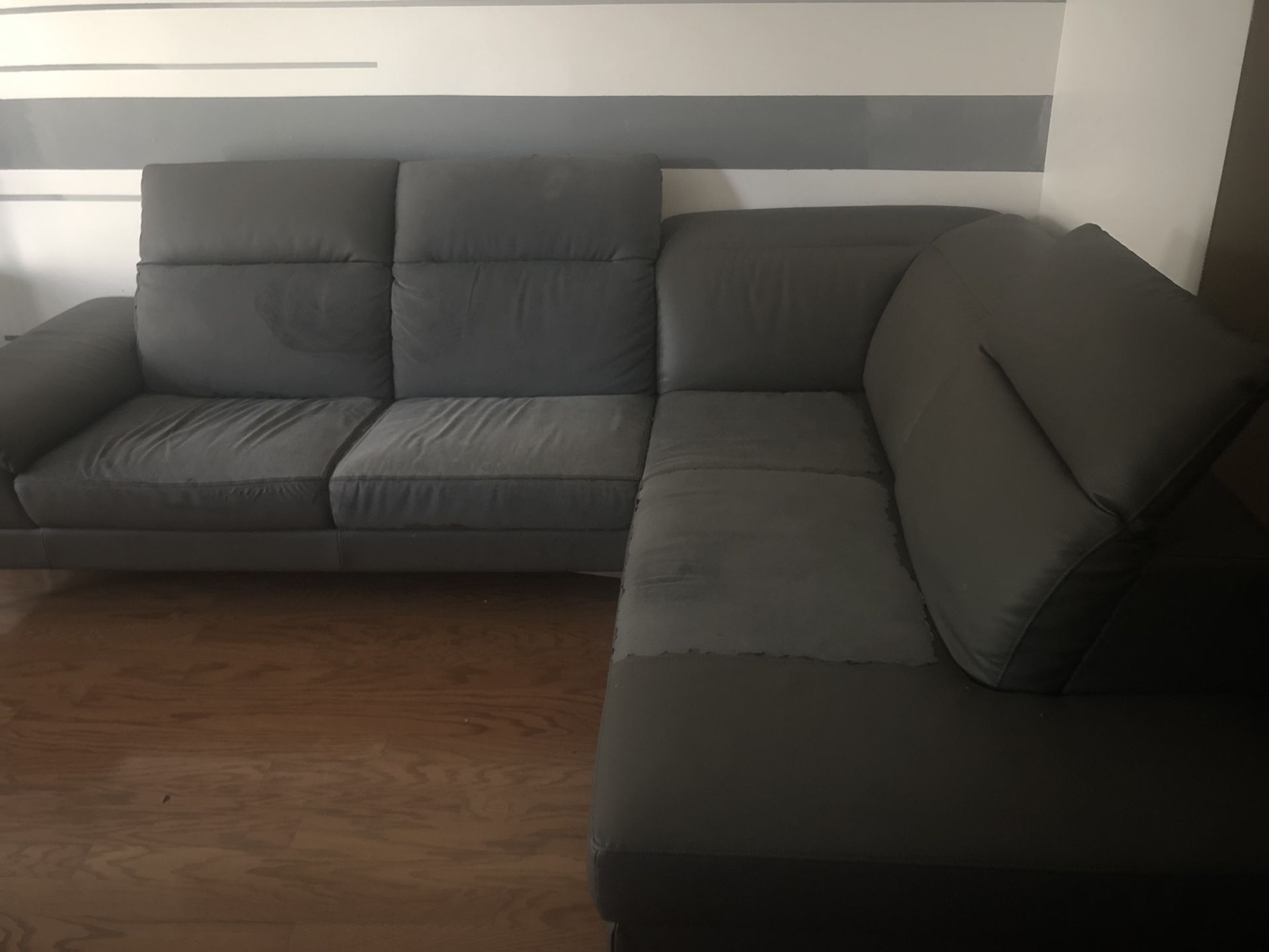 FREE Gray Sectional Couch