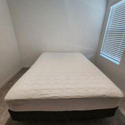 Sealy Queen Mattress + Box Spring + Legs - Clean, Great Condition