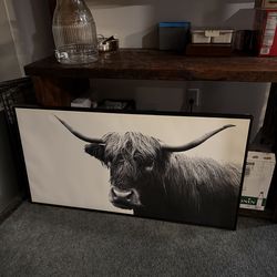 Cow B&W framed photo