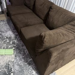 Main Couch From Sectional