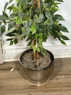 Silver Plant Pot