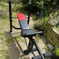 Weight Training  Bench With Weight Disks Like New 