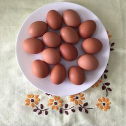 Farm Fresh Chicken Egg Dozen For $3