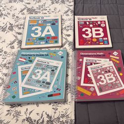 Singapore Math Grade 3