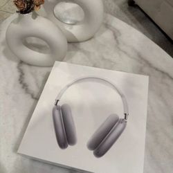 AirPod Max (Best Offer Takes It)