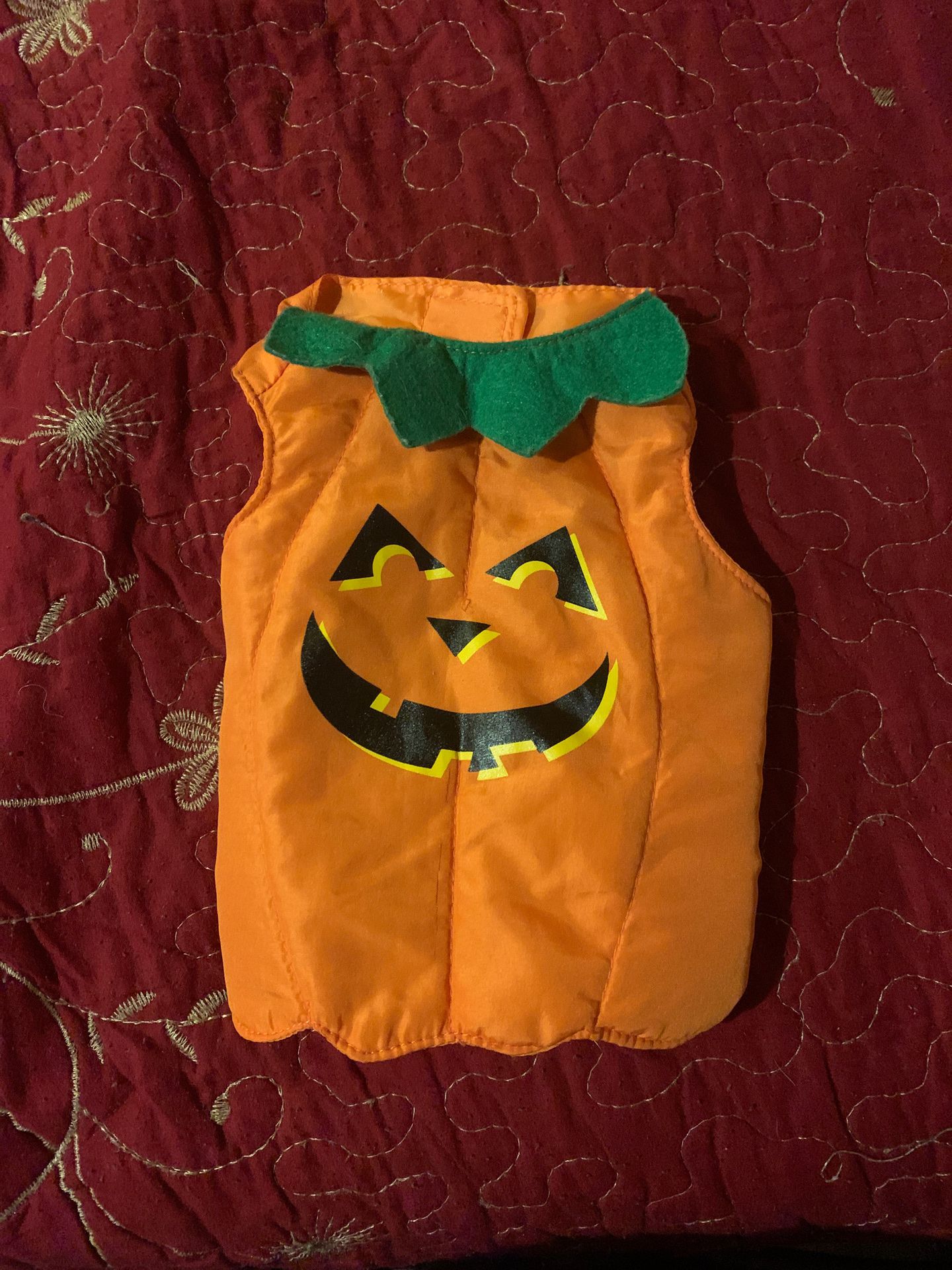 Xtra small dog pumpkin costume
