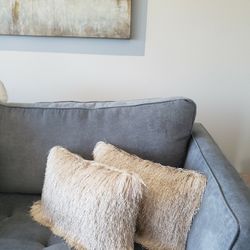 2 Beautiful PILLOWS 