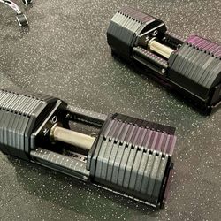 Rep-x-pepin Adjustable Dumbbel Set